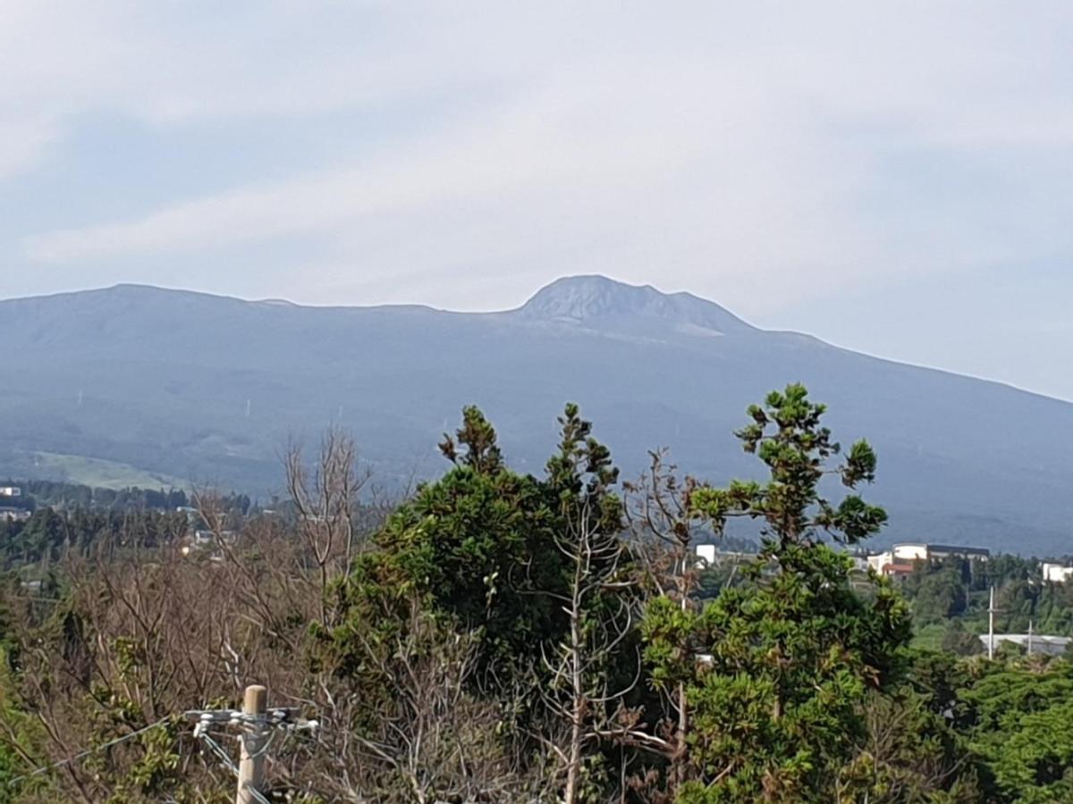 Jeju Soroan Pension Seogwipo Exteriör bild
